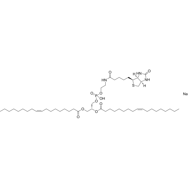 18:1 Biotinyl PE 384835-53-4